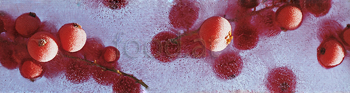 114_e_eisflaeche_2