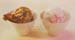 112_e_schokolade_joghu0051
