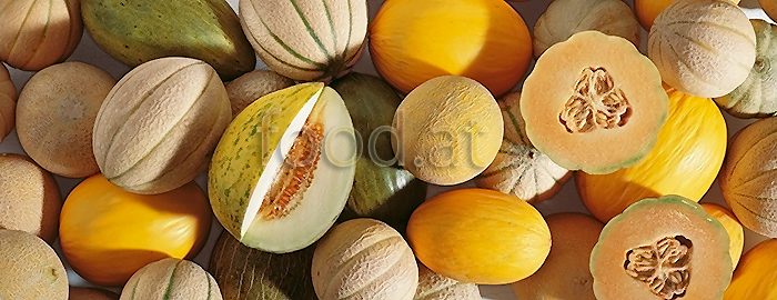 076_vp_melonen