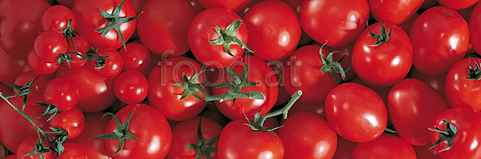 081_vp_tomaten