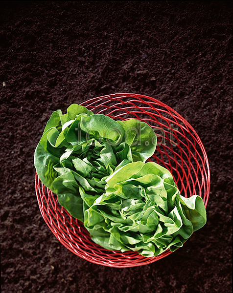 55_salat_2